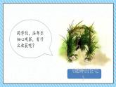 部编版语文四上第三单元 写观察日记（课件）A案