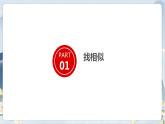部编版语文四上第二单元 小小“动物园”（课件）B案