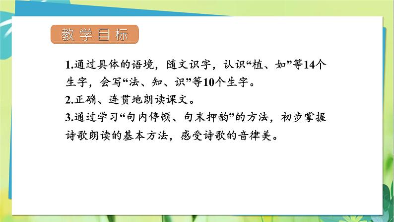 部编语文二年级上册 第1单元 3、植物妈妈有办法 PPT课件02