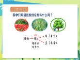 部编语文二年级上册 第1单元 3、植物妈妈有办法 PPT课件