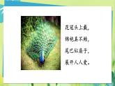 部编语文二年级上册 第1单元 口语交际：有趣的动物 PPT课件
