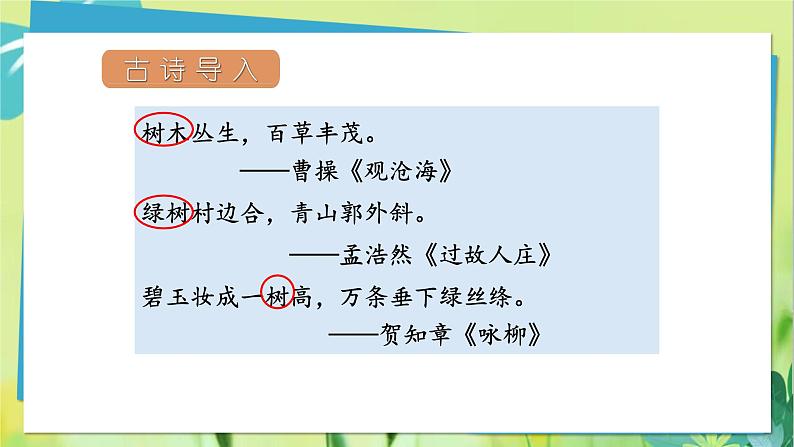 部编语文二年级上册 第2单元 2、树之歌 PPT课件03