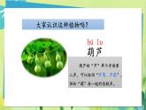 部编语文二年级上册 第5单元 14、我要的是葫芦 PPT课件