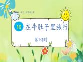 部编语文三年级上册 第3单元 10.在牛肚子里旅行 PPT课件