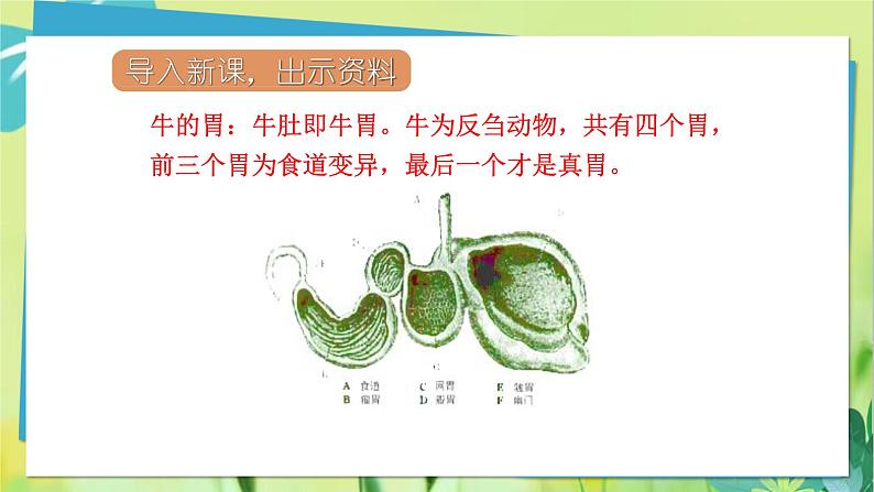 部编语文三年级上册 第3单元 10.在牛肚子里旅行 PPT课件05