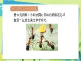 部编语文三年级上册 第3单元 11.一块奶酪 PPT课件