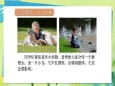 部编语文三年级上册 第5单元 15.搭船的鸟 PPT课件