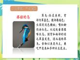 部编语文三年级上册 第5单元 15.搭船的鸟 PPT课件