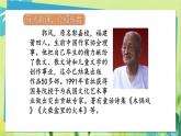 部编语文三年级上册 第5单元 15.搭船的鸟 PPT课件