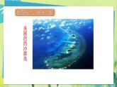 部编语文三年级上册 第6单元 18.富饶的西沙群岛 PPT课件