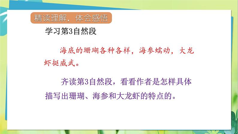 18.富饶的西沙群岛第二课时第7页