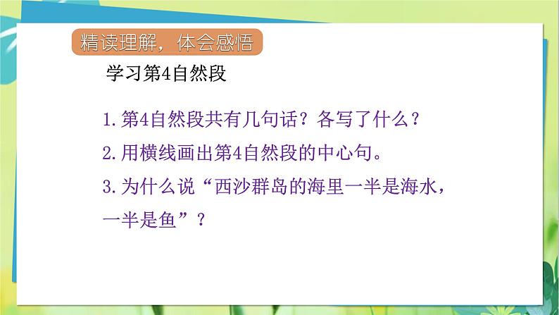 18.富饶的西沙群岛第二课时第8页