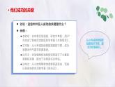 部编版语文四上第三单元 写观察日记（课件）C案