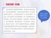 部编版语文四上第五单元 生活万花筒（课件）C案