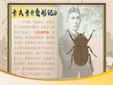 【核心素养】习作一《变形记》课件+教案+音视频素材