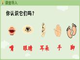 人教版部编版统编版一年级语文上册识字3《口耳目手足》PPT课件