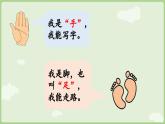 人教版部编版统编版一年级语文上册识字3《口耳目手足》PPT课件