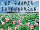 部編版小學語文四年級上冊3秋晚的江上 課件