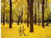 部編版小學語文四年級上冊3秋晚的江上 課件