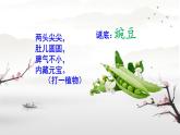 部编版小学语文四年级上册5一个豆荚里的五粒豆 课件