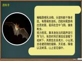 部编版小学语文四年级上册6夜间飞行的秘密 课件