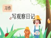 部编版小学语文四年级上册习作写观察日记 课件