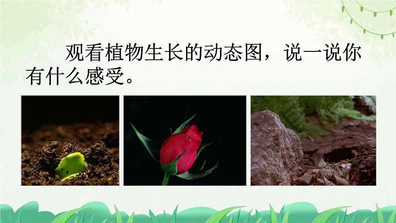 部编版小学语文四年级上册习作写观察日记 课件02