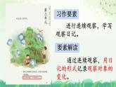 部编版小学语文四年级上册习作写观察日记 课件