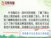 部编版小学语文四年级上册习作写观察日记 课件