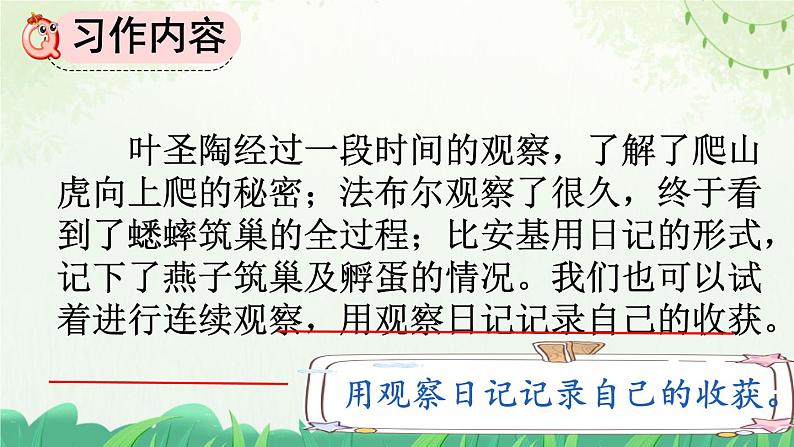 部编版小学语文四年级上册习作写观察日记 课件04