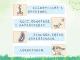 部编版小学语文四年级上册习作写观察日记 课件