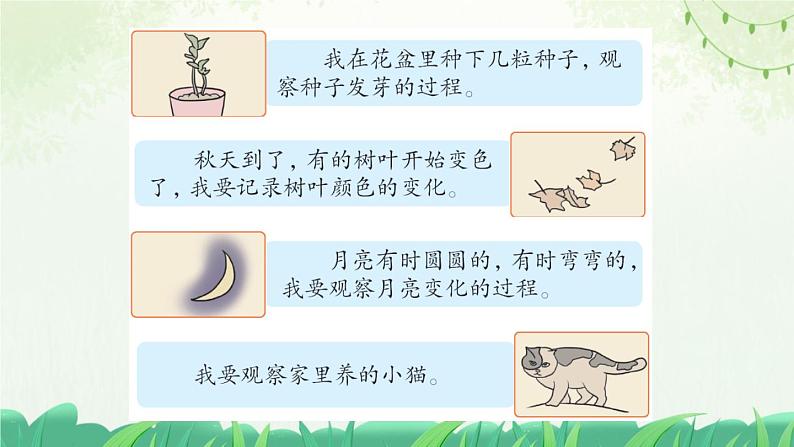 部编版小学语文四年级上册习作写观察日记 课件05