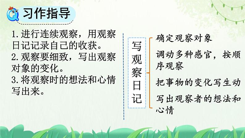 部编版小学语文四年级上册习作写观察日记 课件07