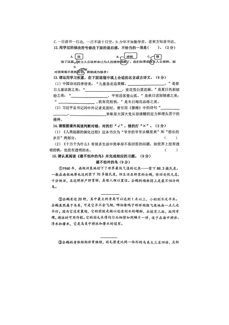 [语文][期末]浙江省杭州市钱塘区多校联考2023～2024学年四年级下学期期末语文试题( 有答案)03