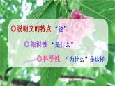 【核心素养】部编版小学语文五上 交流平台 初试身手 课件+教案 （含教学反思）