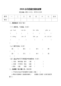 小升初模拟（试题）2023-2024学年统编版语文六年级下册