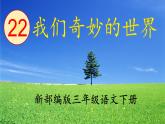 部编三年级下册 《我们奇妙的世界》 课件