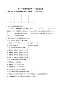 安徽省滁州市2023-2024学年六年级下学期期末语文试卷