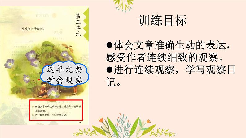 部编版小学语文四年级上册11蟋蟀的住宅 课件04