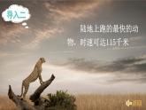 【核心素养】部编版小学语文五上7.什么比猎豹的速度更快 课件+教案 （含教学反思）