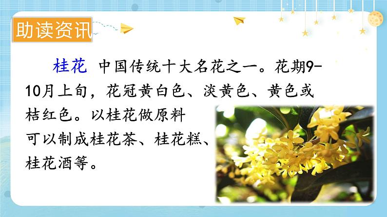 【核心素养】部编版小学语文五上3.桂花雨+课件+教案+（含教学反思）05