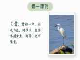 1.《白鹭》 课件-2024-2025学年语文五年级上册统编版