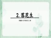2.《落花生》 课件-2024-2025学年语文五年级上册统编版