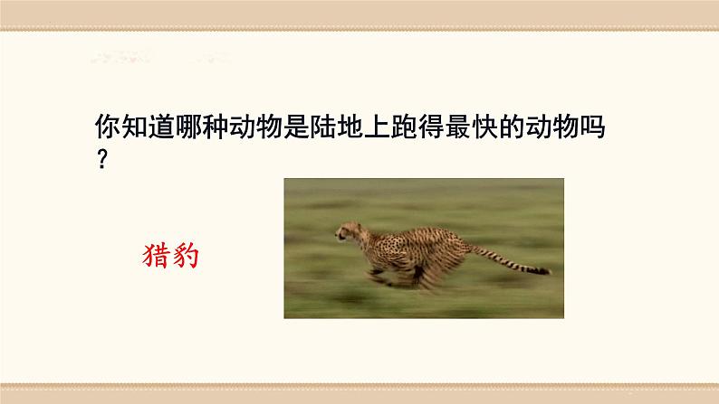 7.《什么比猎豹的速度更快》 课件-2024-2025学年语文五年级上册统编版01