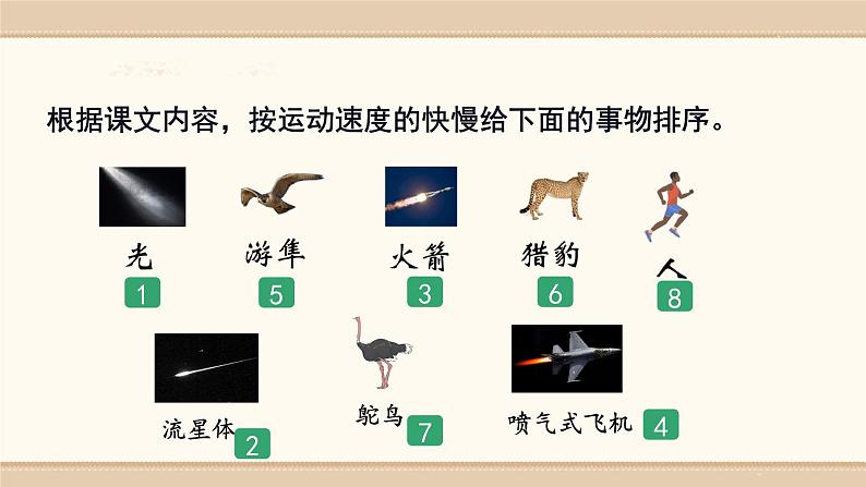 7.《什么比猎豹的速度更快》 课件-2024-2025学年语文五年级上册统编版05