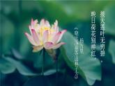 【新课标】4《花之歌》课件+教案+课文朗读