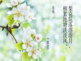 【新课标】4《花之歌》课件+教案+课文朗读