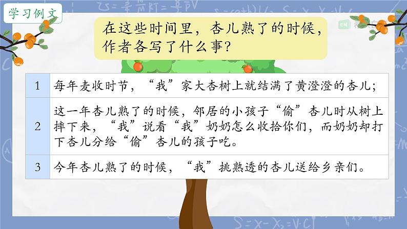 部编版小学语文四年级上册习作例文我家的杏熟了 课件03