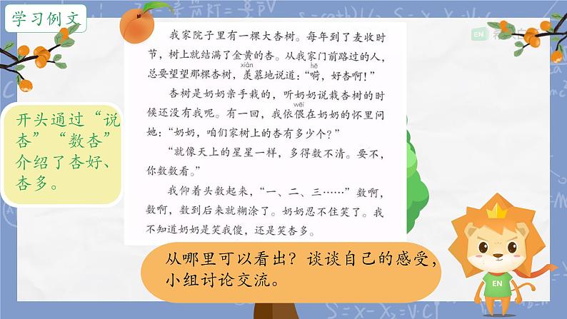 部编版小学语文四年级上册习作例文我家的杏熟了 课件04