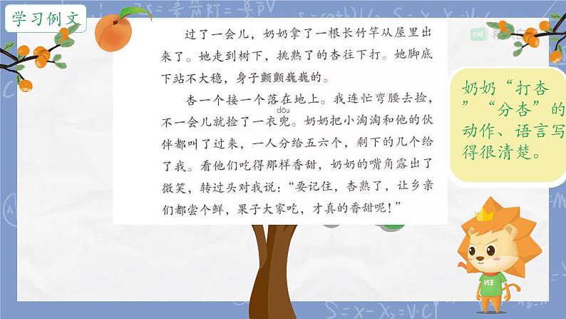 部编版小学语文四年级上册习作例文我家的杏熟了 课件06